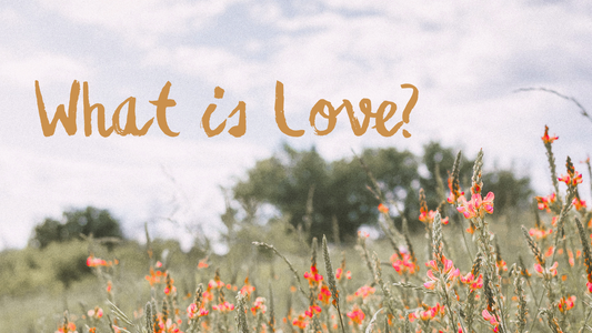 Pearls & Oysters: On Quiet Resilience